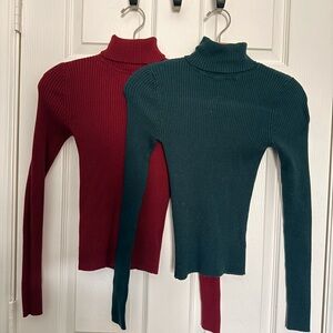 TWO Express Ribbed Turtleneck Sweaters